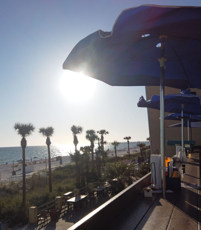 Restaurant Website Design Panama City Beach